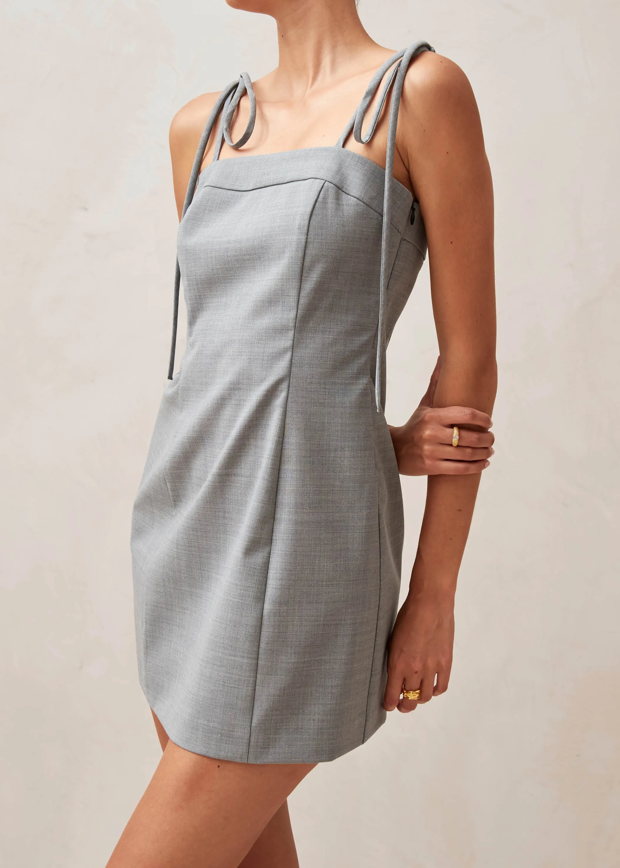 Caroline Grey Dress