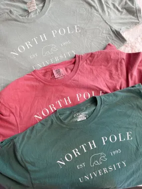 Comfort Colors North Pole Graphic Tees